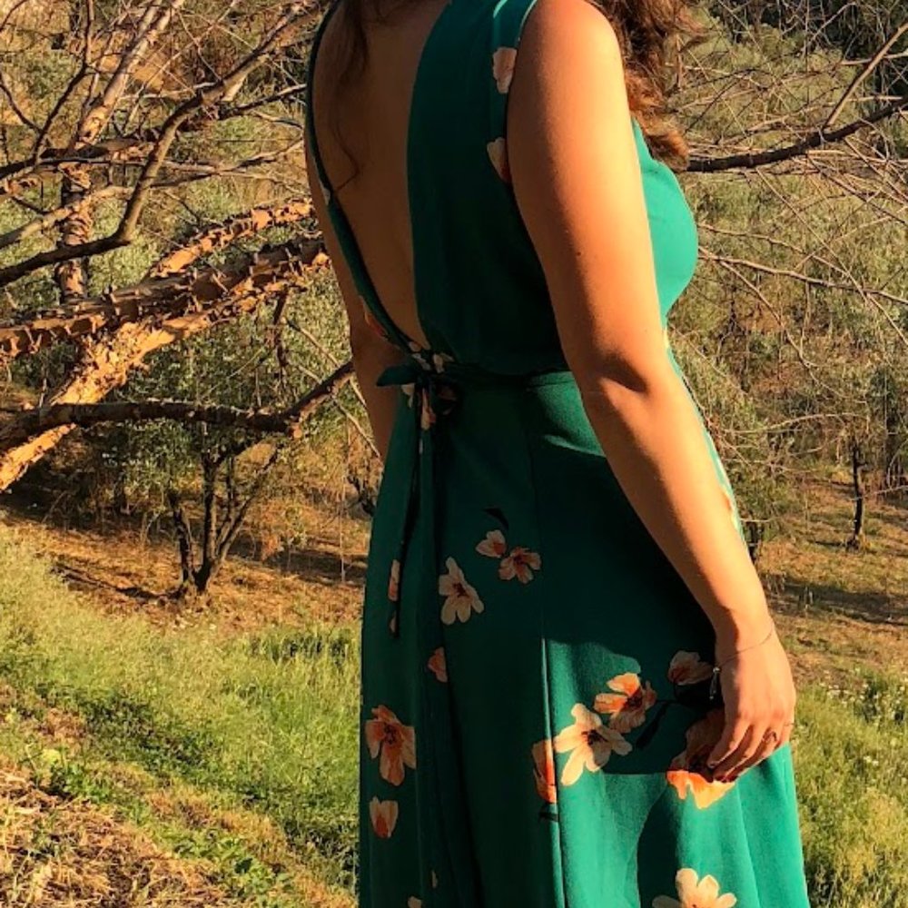 Aritzia Green Floral Plunge Back Midi Dress (6)